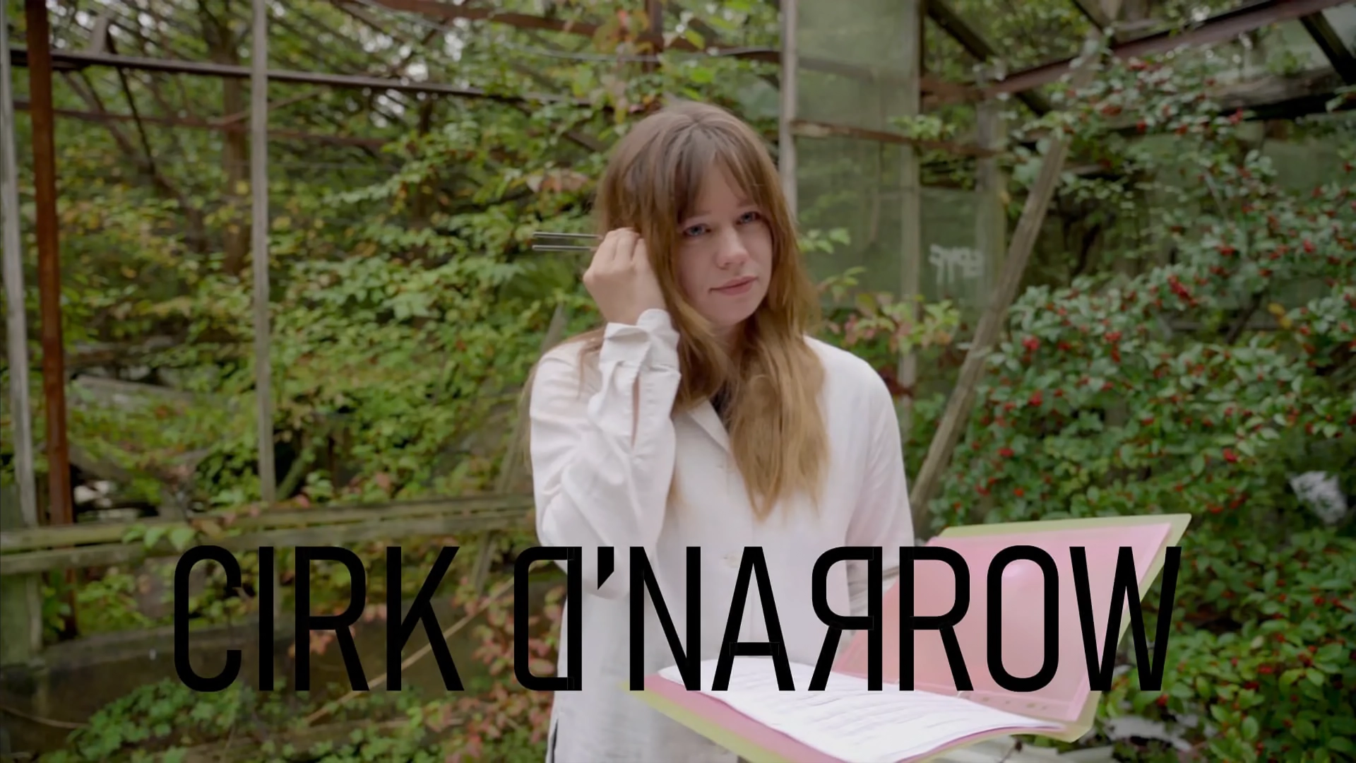 Cirk D’Narrow