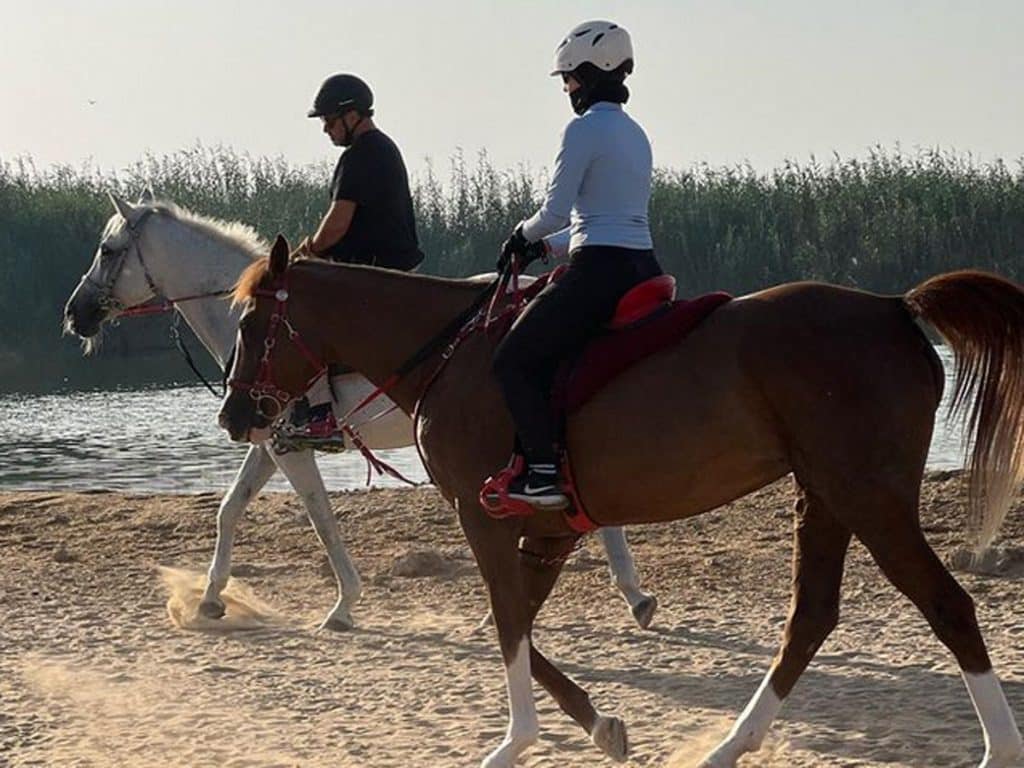 Horse Riding free lesson