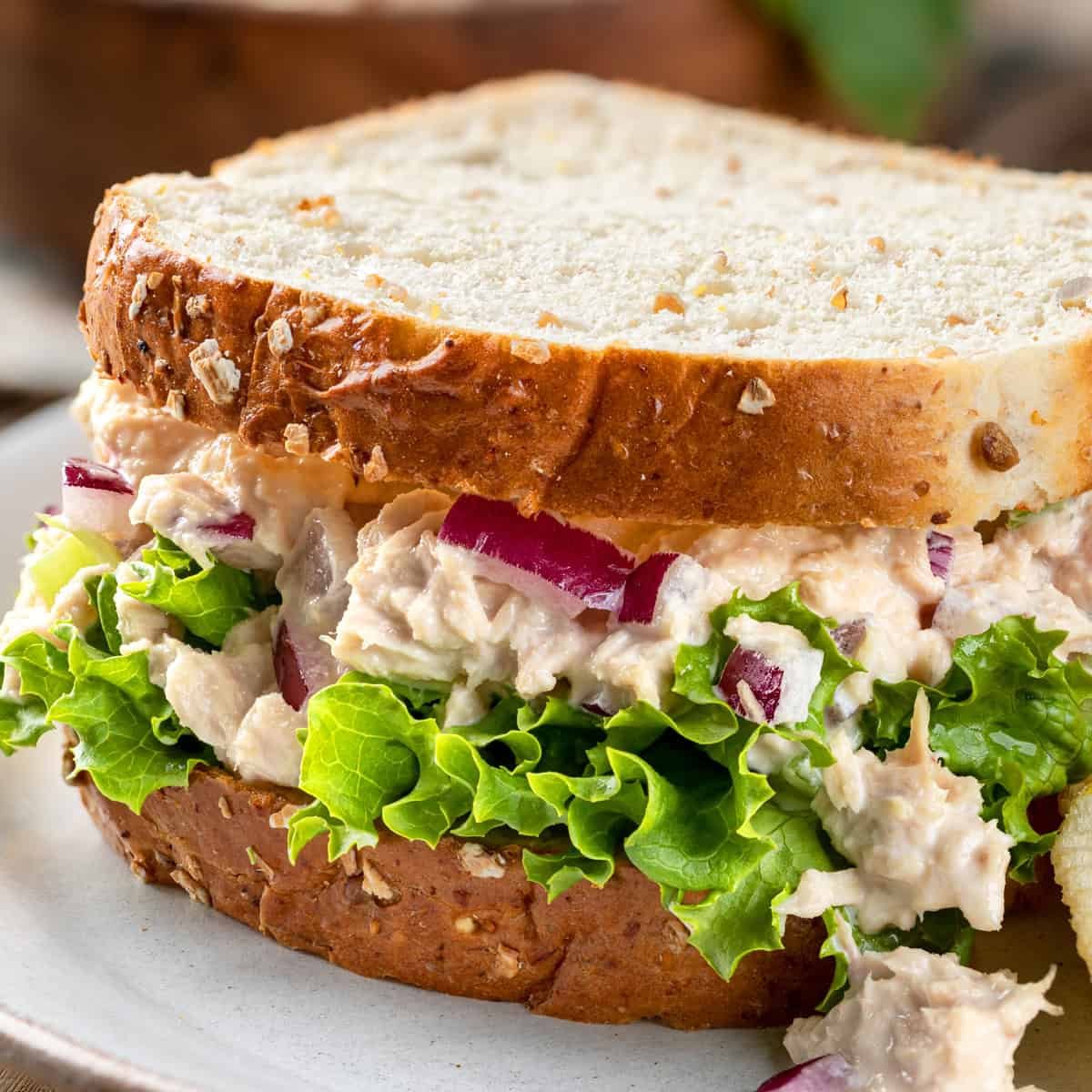 Tuna Sandwich 2