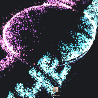 Support The Mission Viewer picture