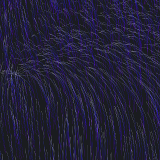 Touch the grass picture