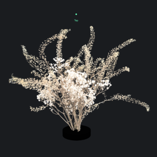 Gaussian Splatting Points of Interest picture
