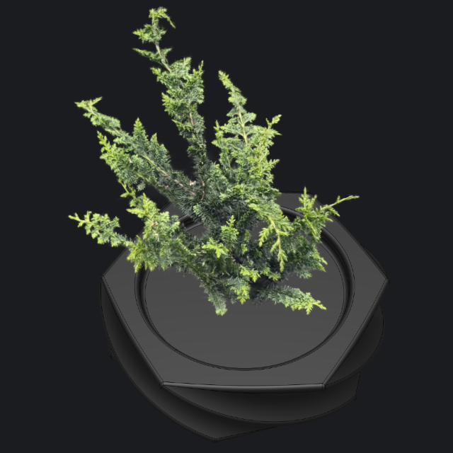 Animation setup 3D Gaussian Splatting picture