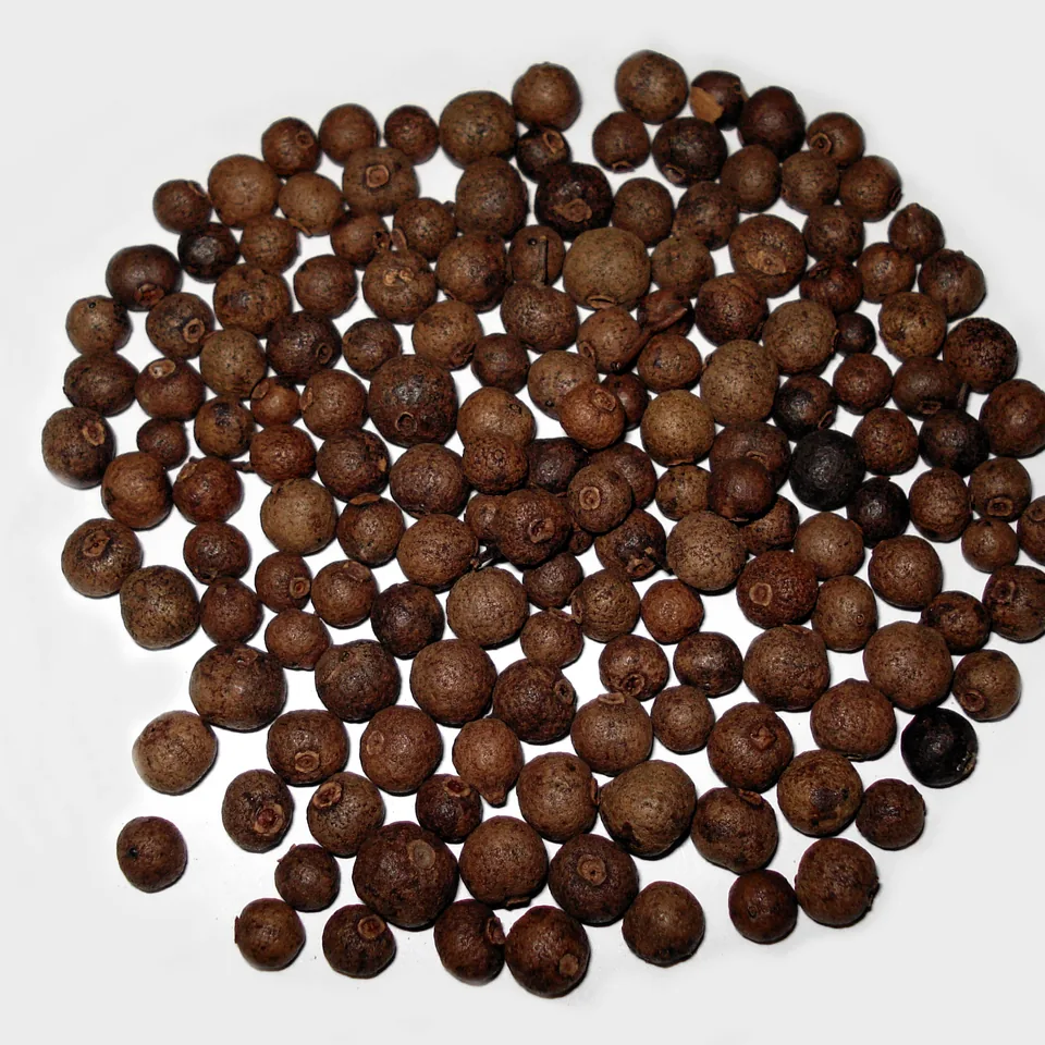 Allspice — reference photograph