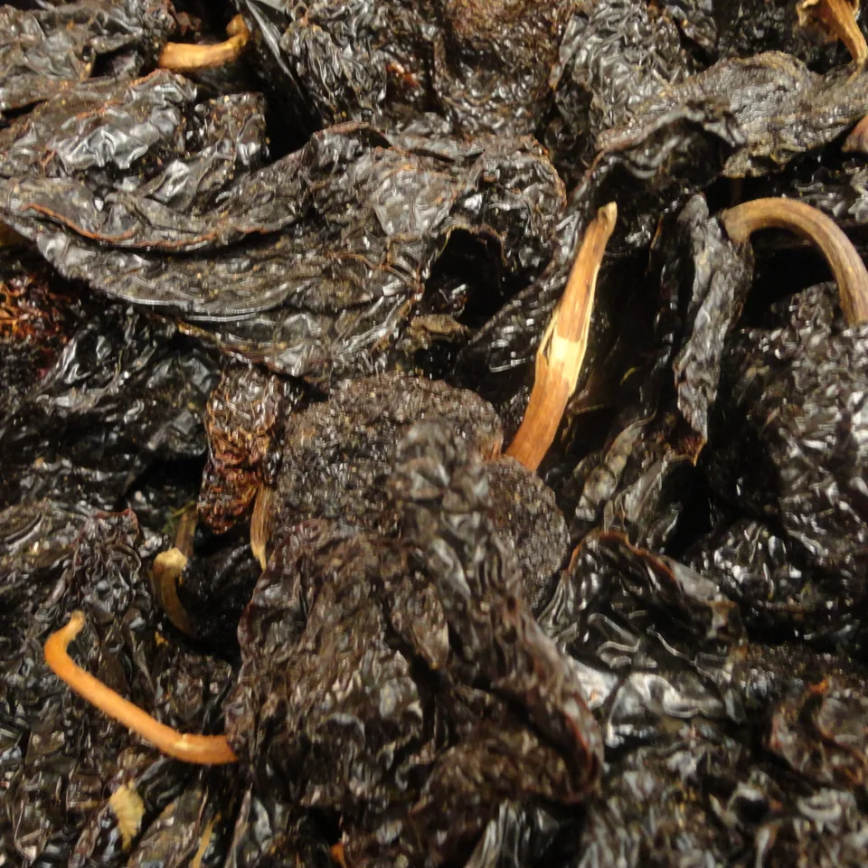 Ancho chili — reference photograph