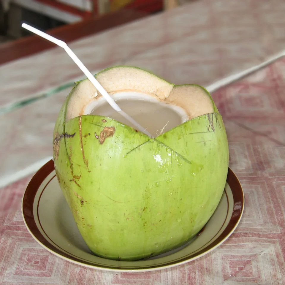 Coconut water — reference photograph