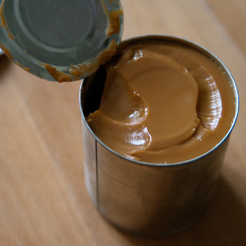 Dulce de leche — fotografía de referencia