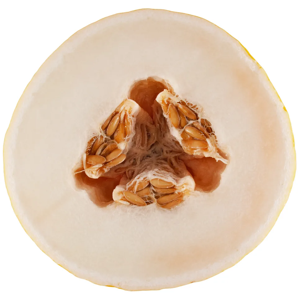 Melón verde (honeydew) — fotografía de referencia