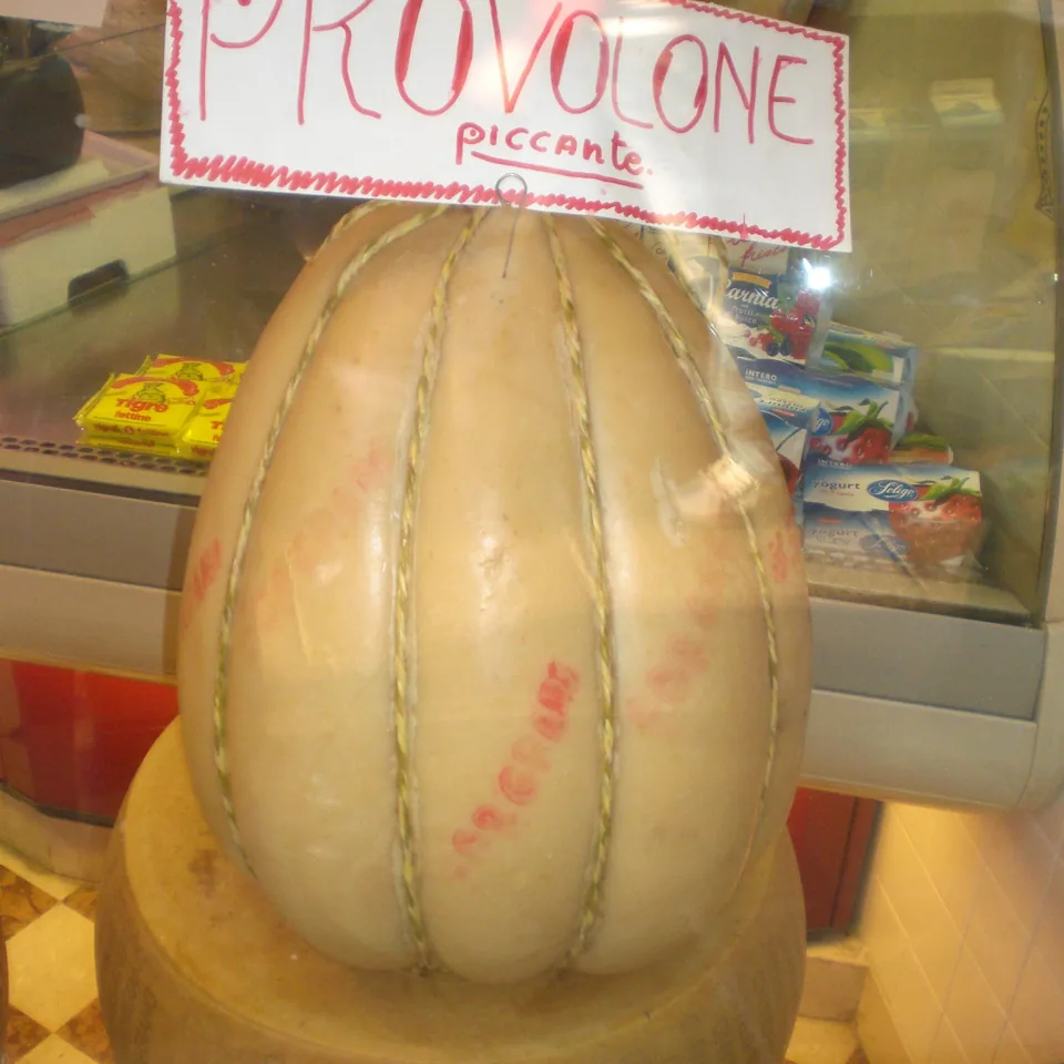 Provolone cheese — reference photograph