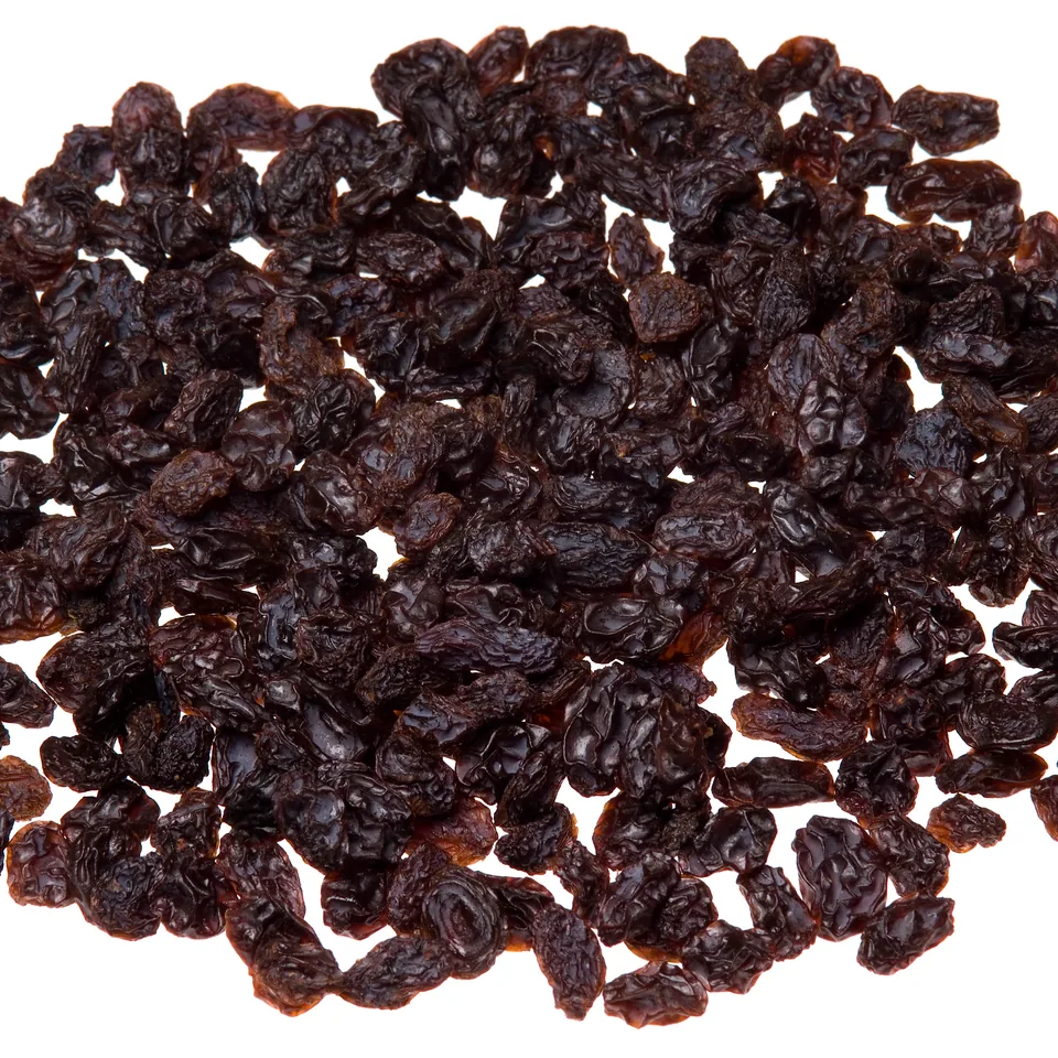 Raisins — reference photograph