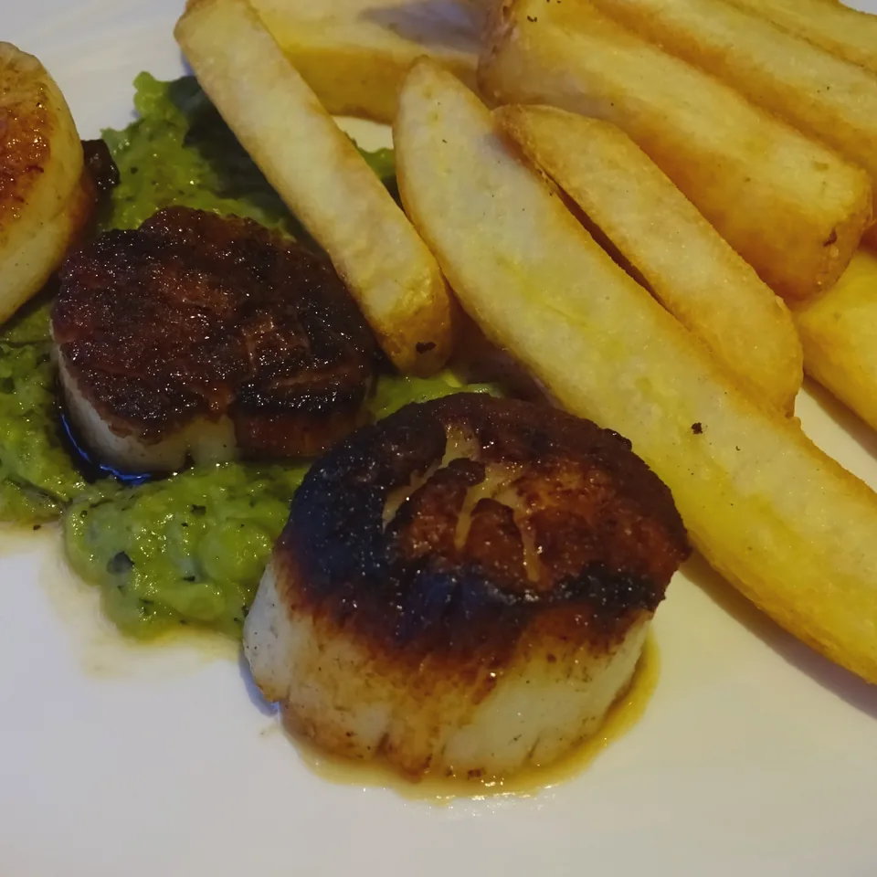 Scallops — reference photograph
