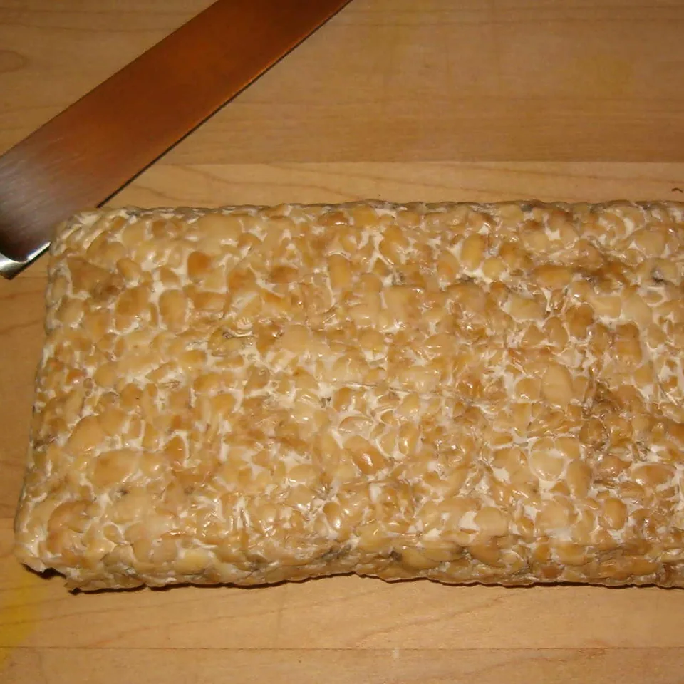 Tempeh — fotografía de referencia