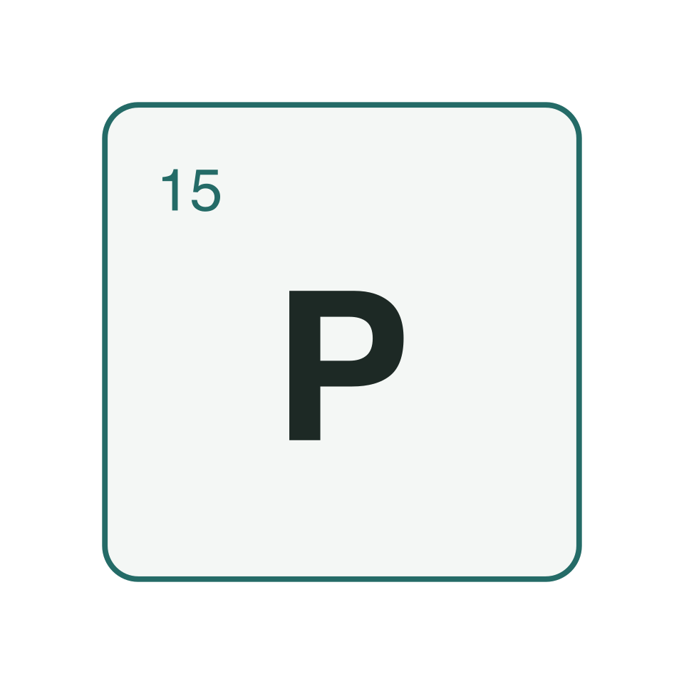 P — element symbol — element graphic