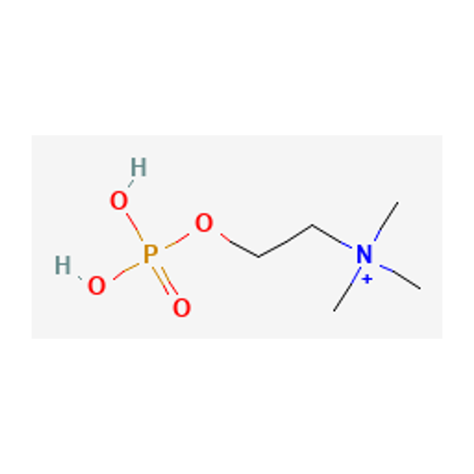 Fosfocolina (forma con carga +1) — diagrama químico 2D