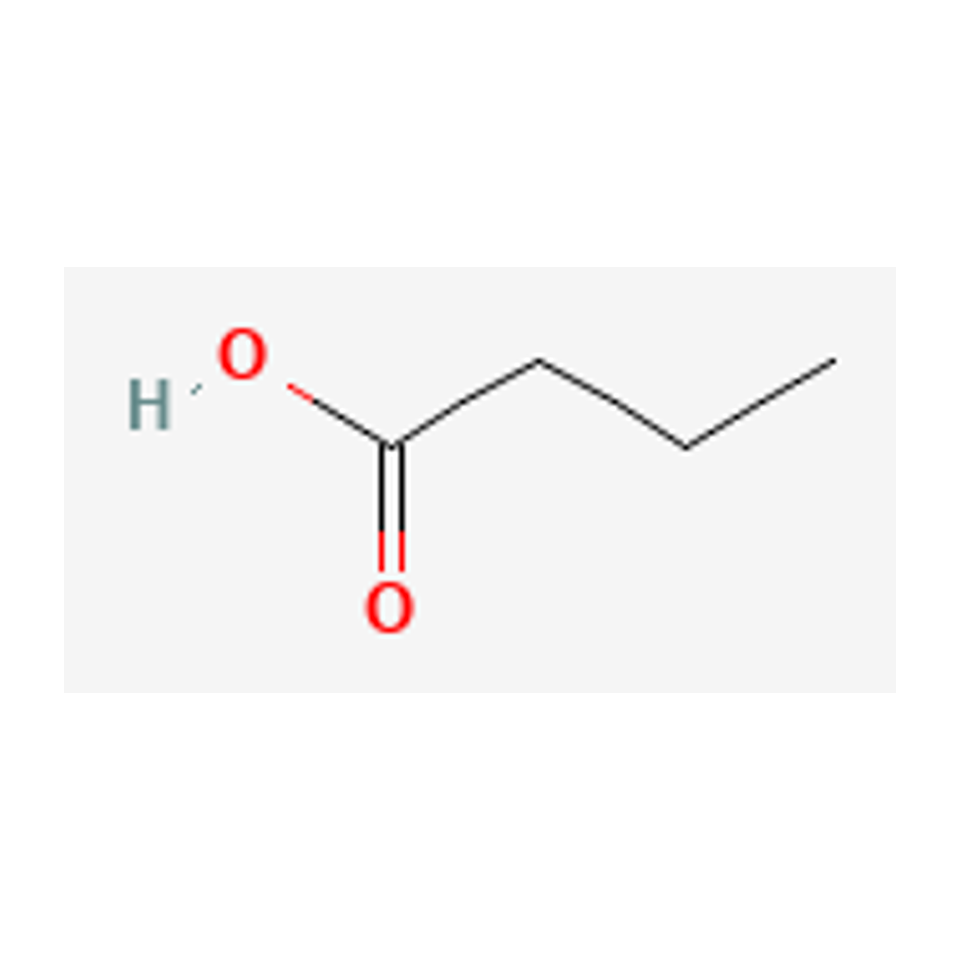 butyric acid — 2D chemical diagram
