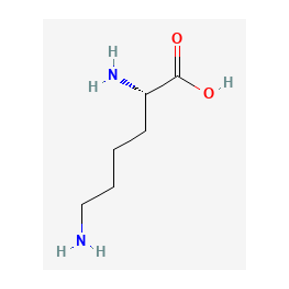L-lysine — 2D chemical diagram