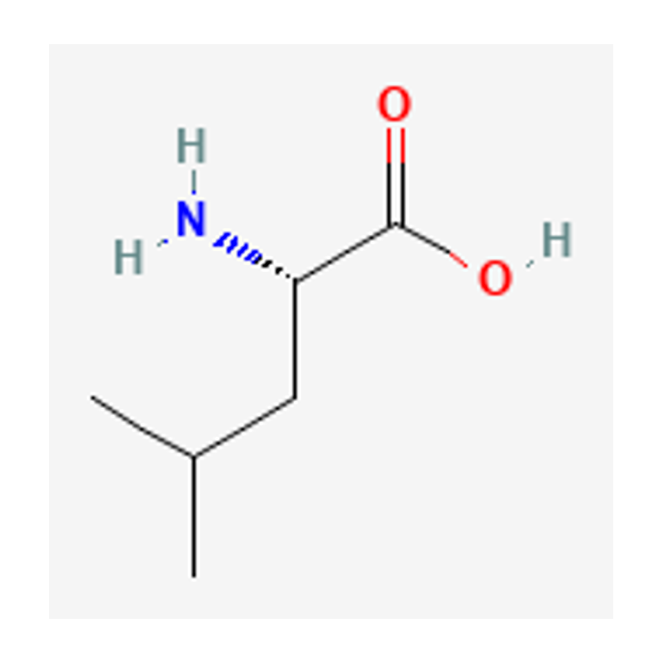 L-leucine — 2D chemical diagram