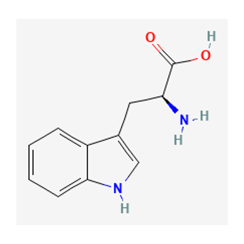 L-tryptophan — 2D chemical diagram