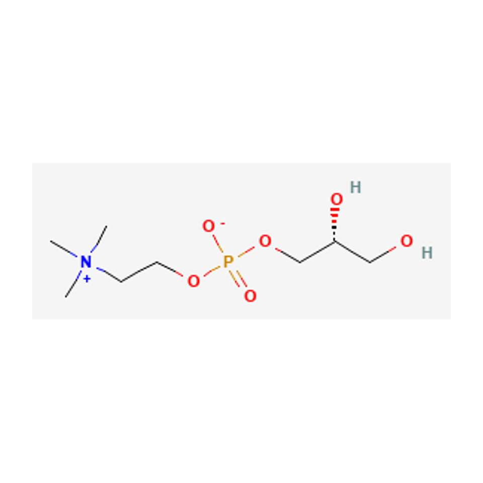 L-α-glicerofosfocolina — diagrama químico 2D