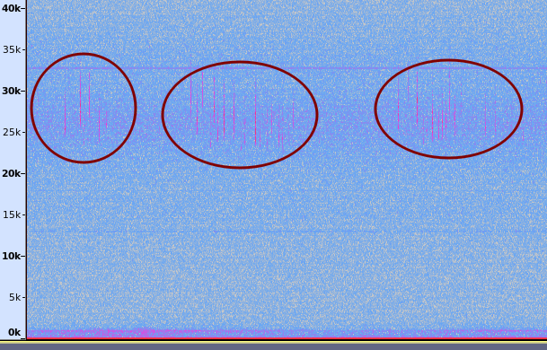 Uploaded Image