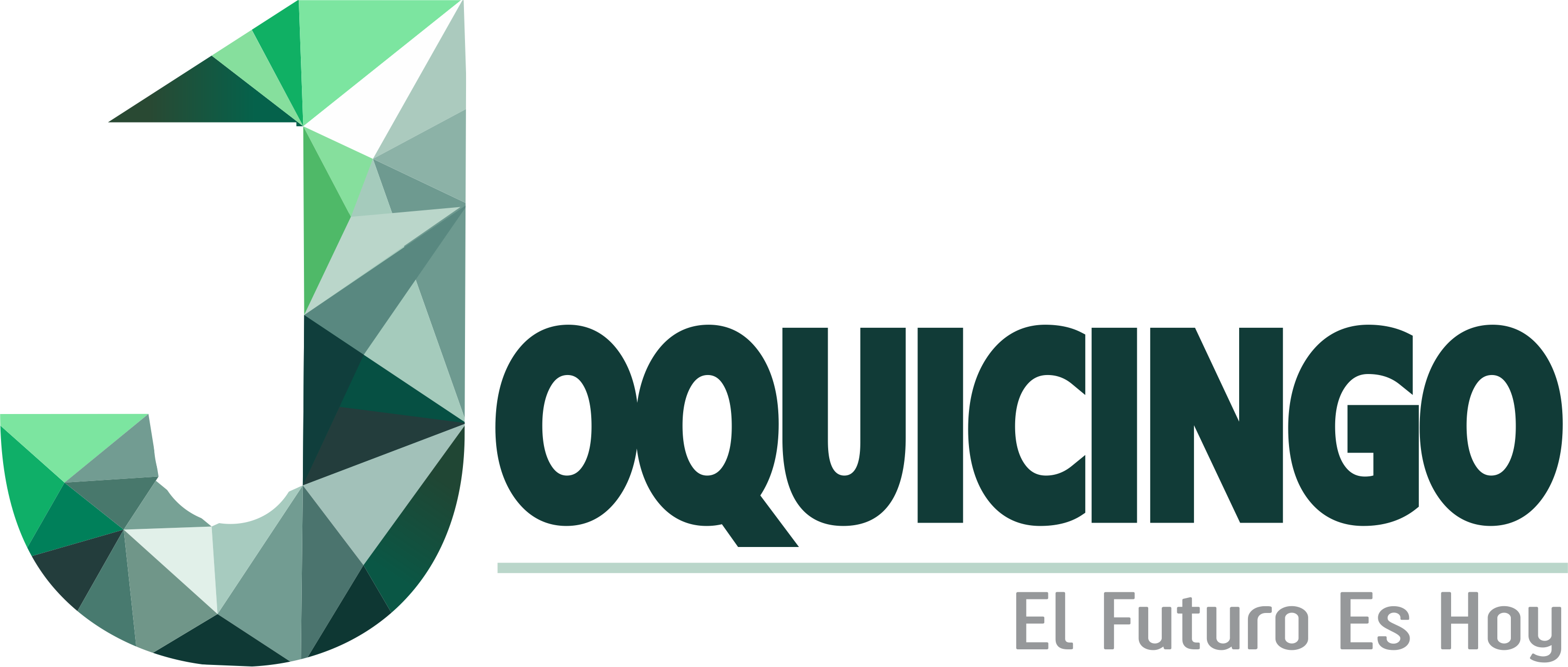 Logo Joquicingo