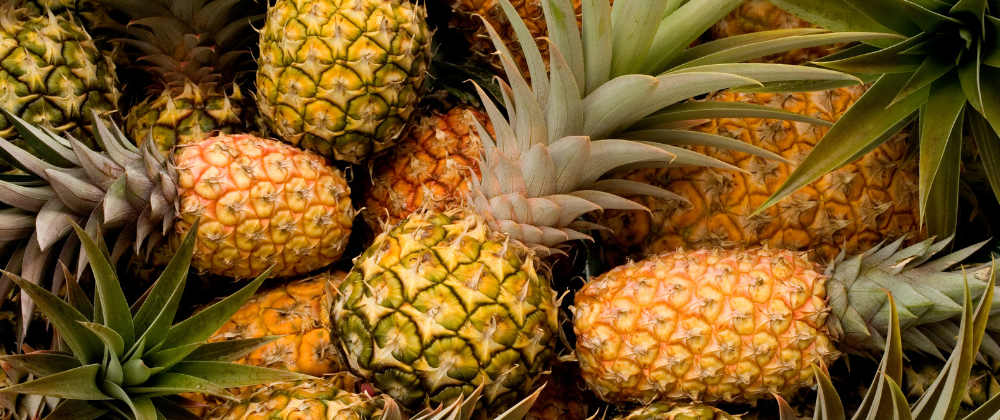 Ananas Enzym