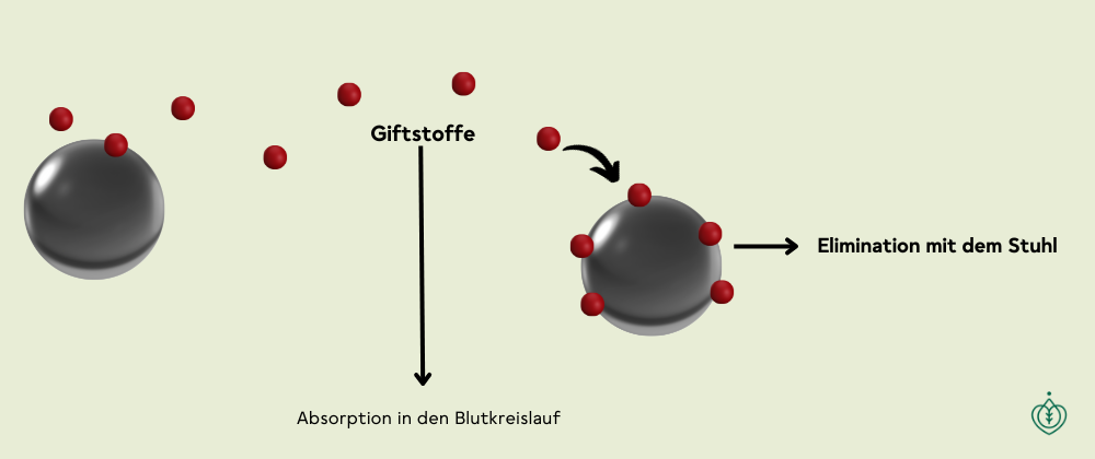 Giftstoffe Elimination Aktivkohle