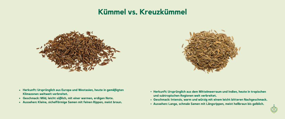 Kümmel vs. Kreuzkümmel