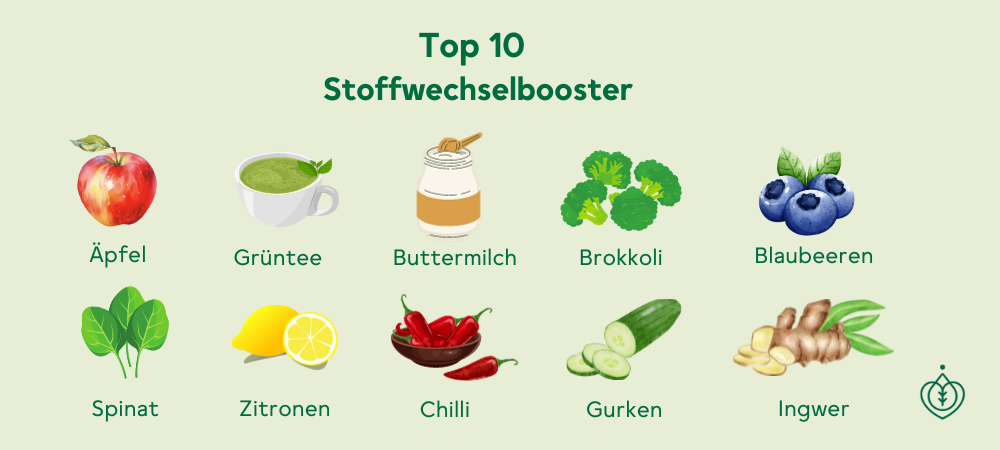 Top 10 Stoffwechselbooster