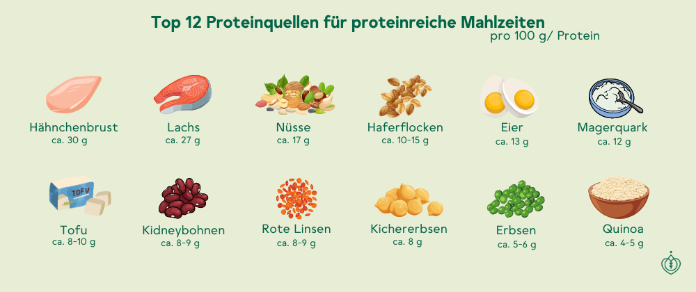 Top 12 Proteinquellen