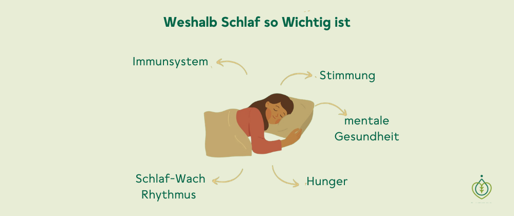 Weshlab Schlaf so Wichtig ist