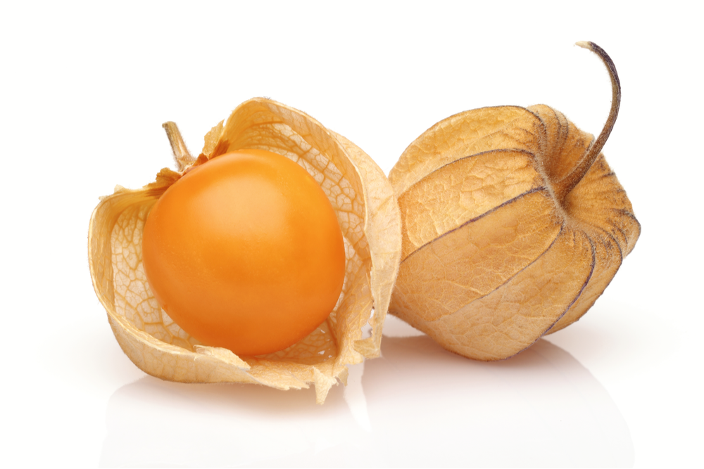 physalis