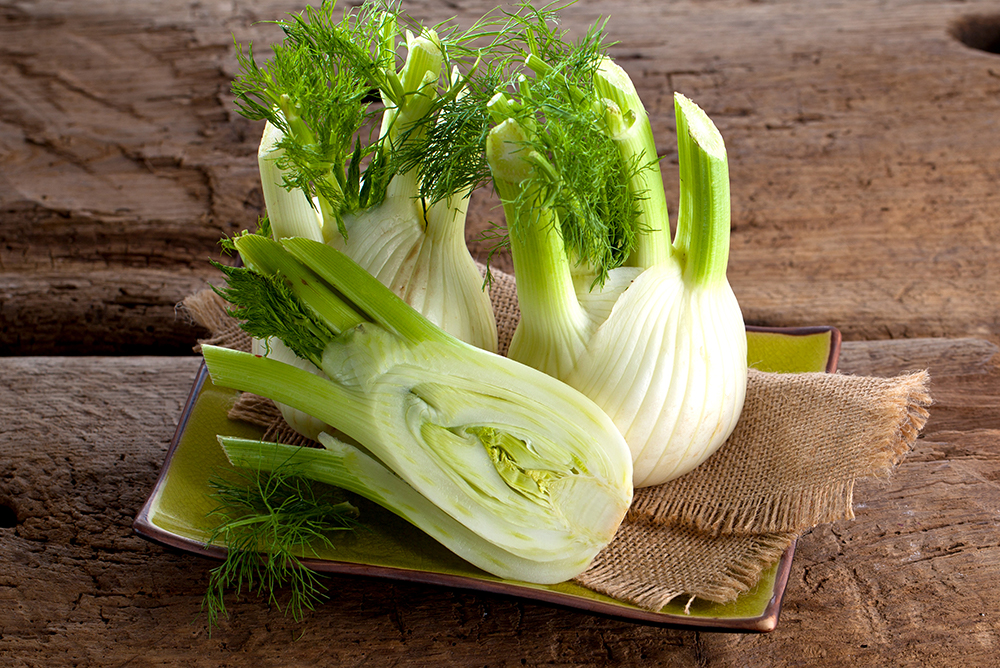 fenchel