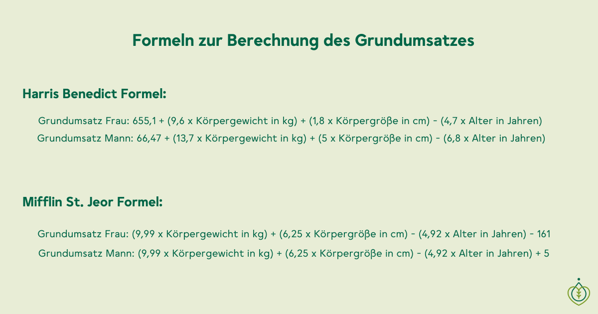 grundumsatz berechnen formel