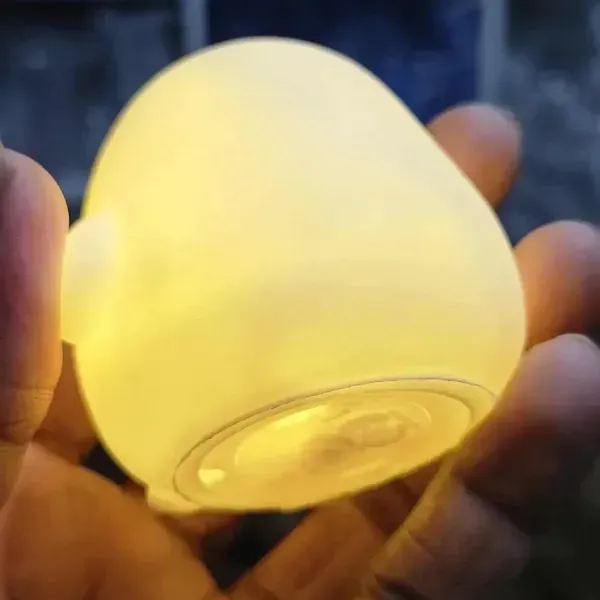 Most viral chicken lamp
