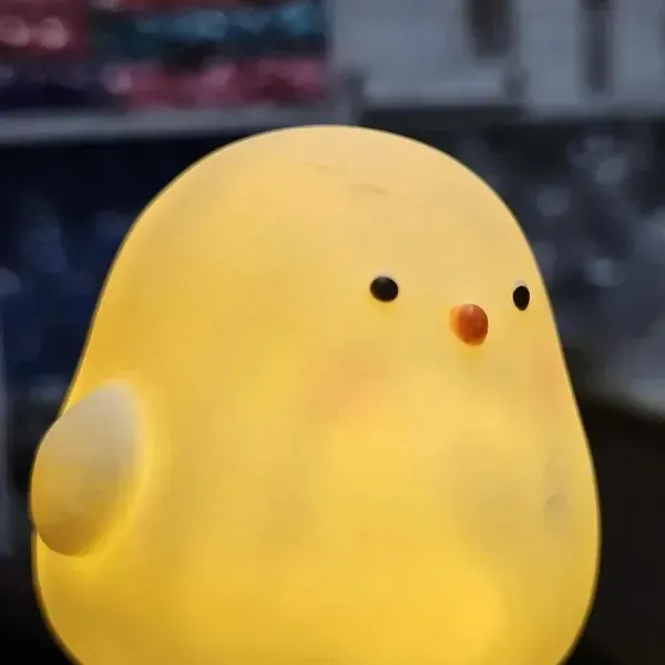 Most viral chicken lamp