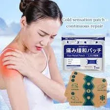 Japanese Back Pain Relief Patches  7 pis
