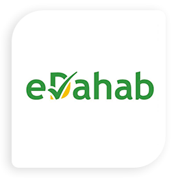E-Dahab Dollar Icon