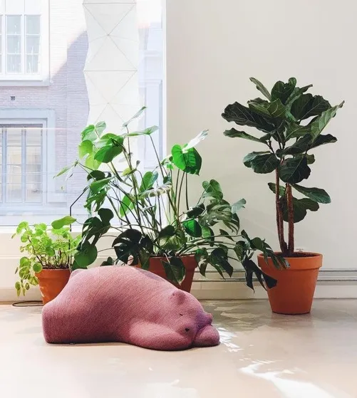 Resting Bear
