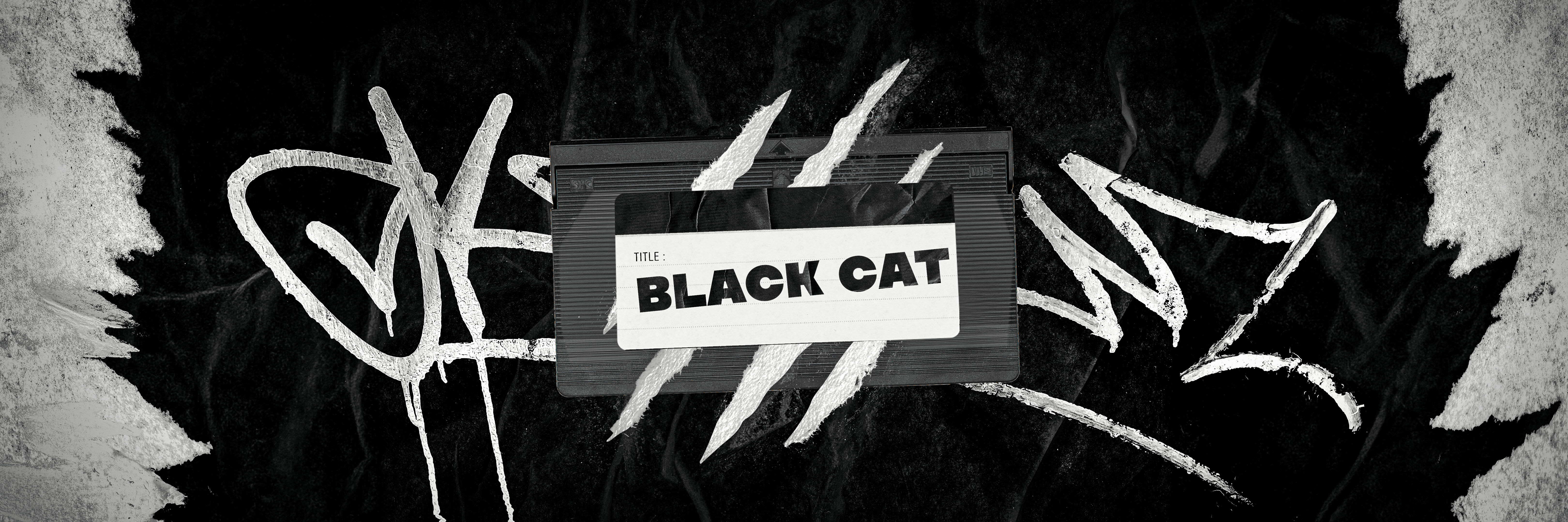 Black Cat Studio