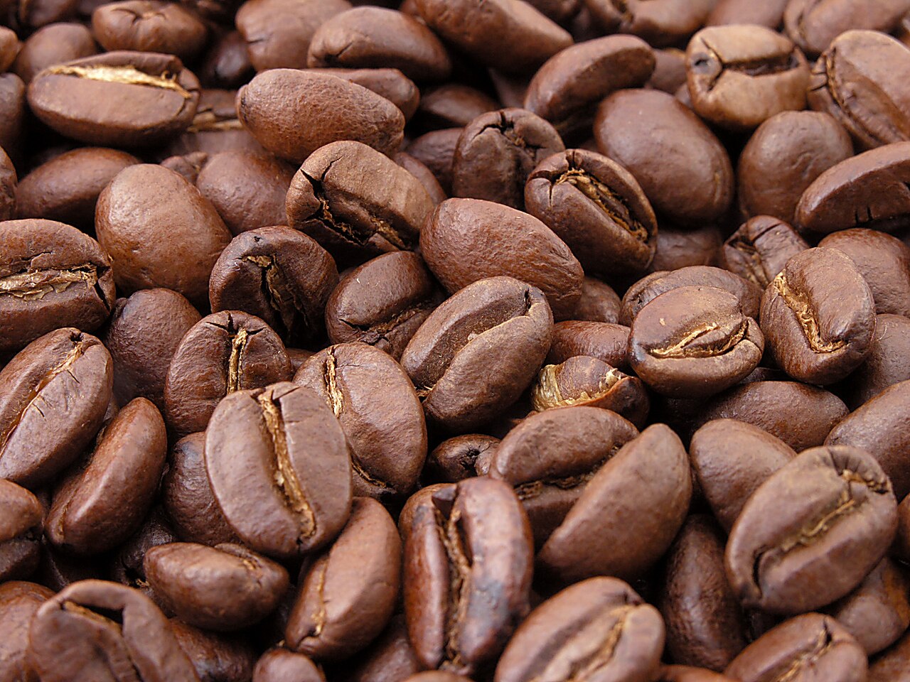 Close-up of roasted coffee beans