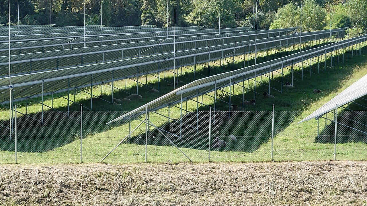 Rows of tilted solar panels on grass behind a wire fence, with a field of cut straw in the foreground.