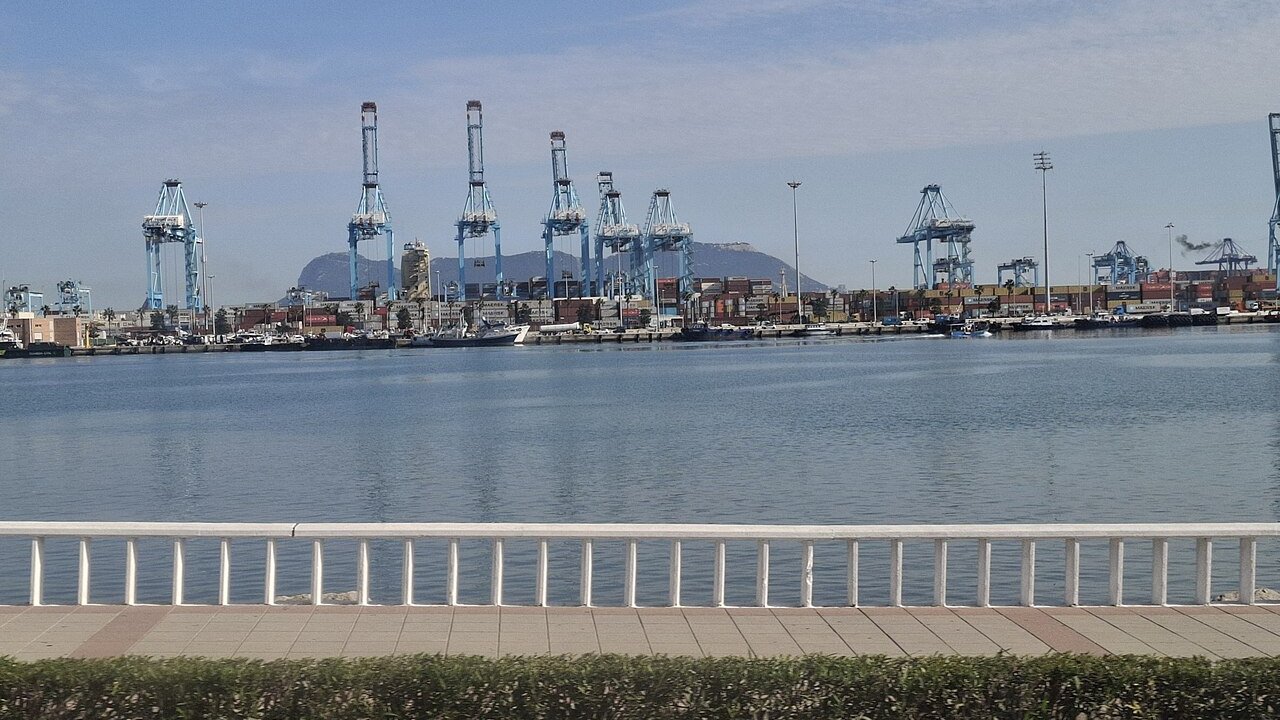 Blue container cranes and stacked containers along a harbour front, with a grey hill behind and a white railing in the foreground.
