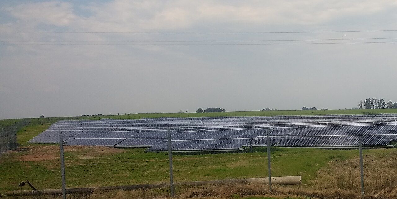 Rows of solar panels in a field