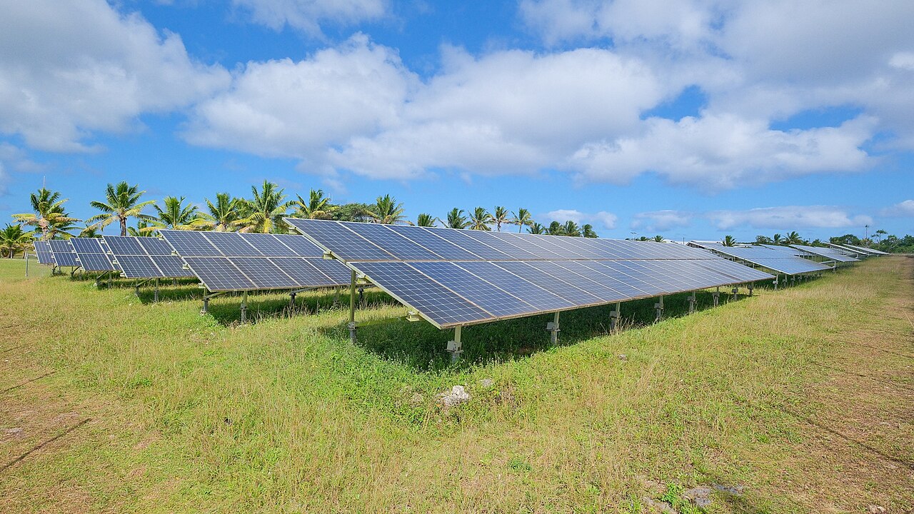 Rows of solar panels in a field with palm trees behind