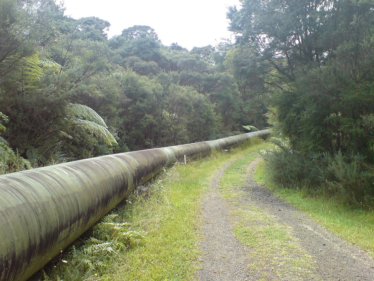 A large pipeline running beside a track through trees
