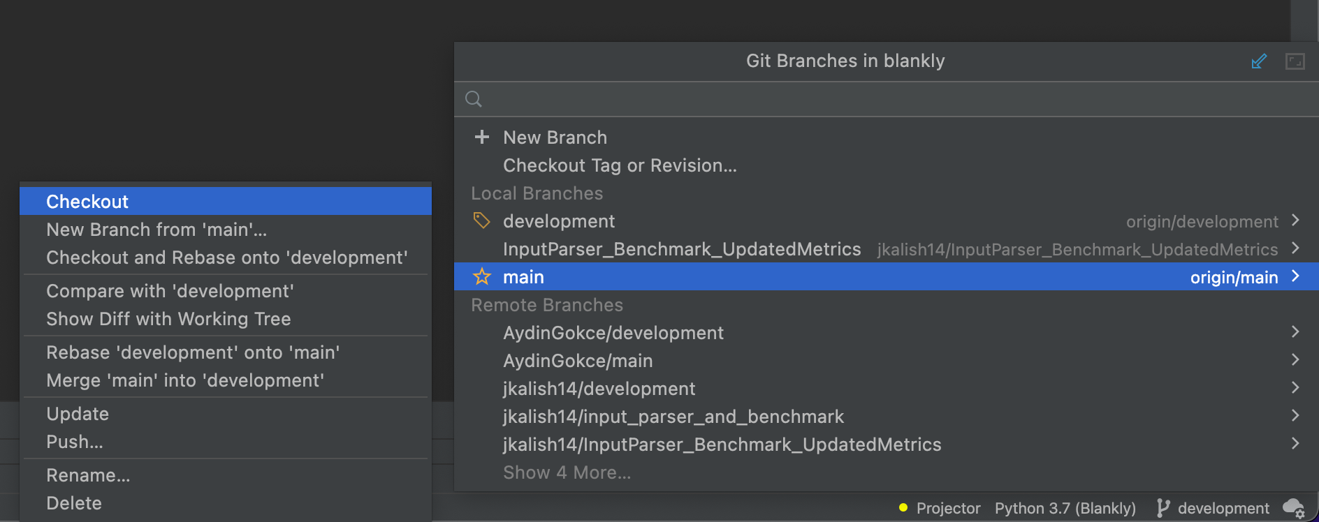 Branch details JetBrains