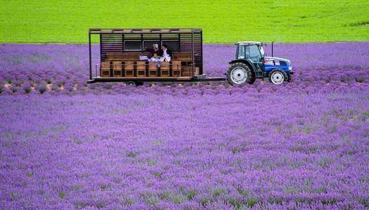 Explore arts culture in Furano, Japan – travel guide.