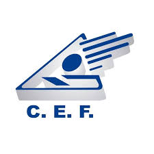 Professional Certification