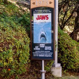 Jaws